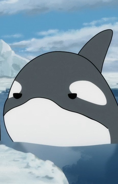 Killer Whale B