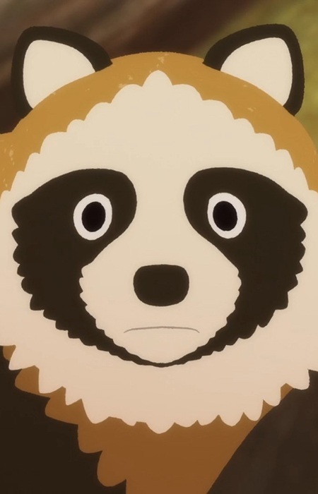 Raccoon Dog