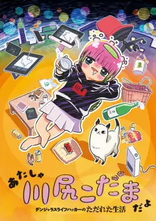 تصاویر انیمه Atasha Kawashiri Kodama da yo: Dangerous Lifehacker no Tadareta Seikatsu - تصویر 8