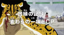 تصاویر انیمه One Piece: Innen no Log! Mugiwara no Ichimi to Cipher Pol - تصویر 1