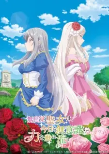 تصاویر انیمه Mujikaku Seijo wa Kyou mo Muishiki ni Chikara wo Tare Nagasu - تصویر 1